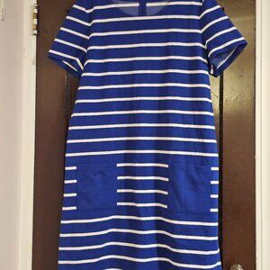 Gap Stretch Knit Shift Striped Dress